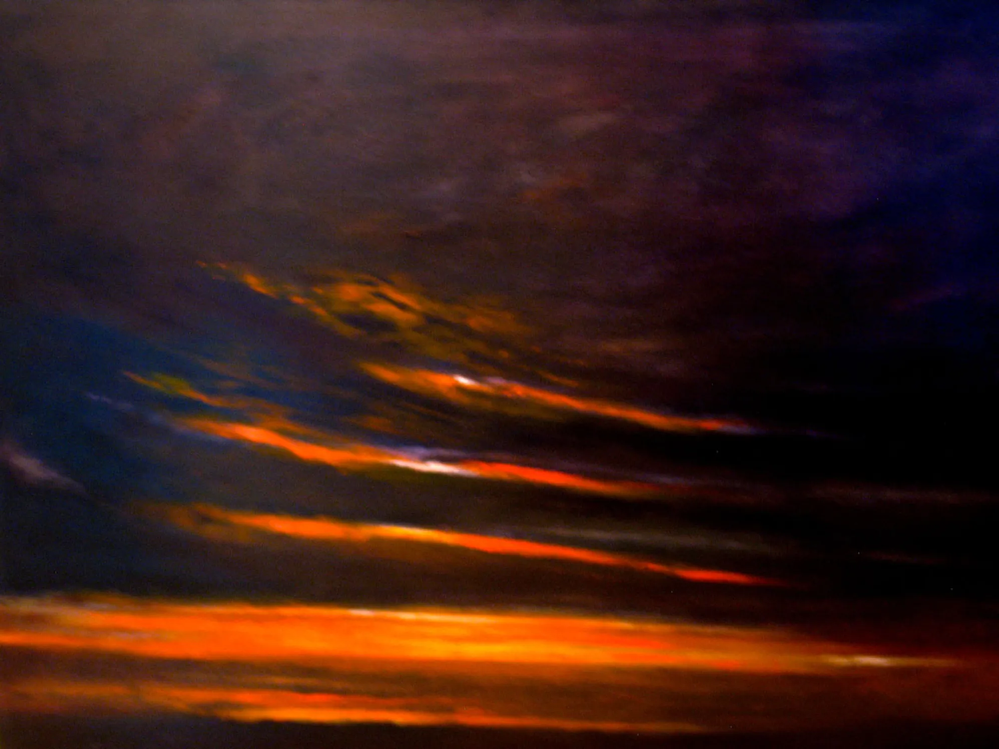 The midnight light dream