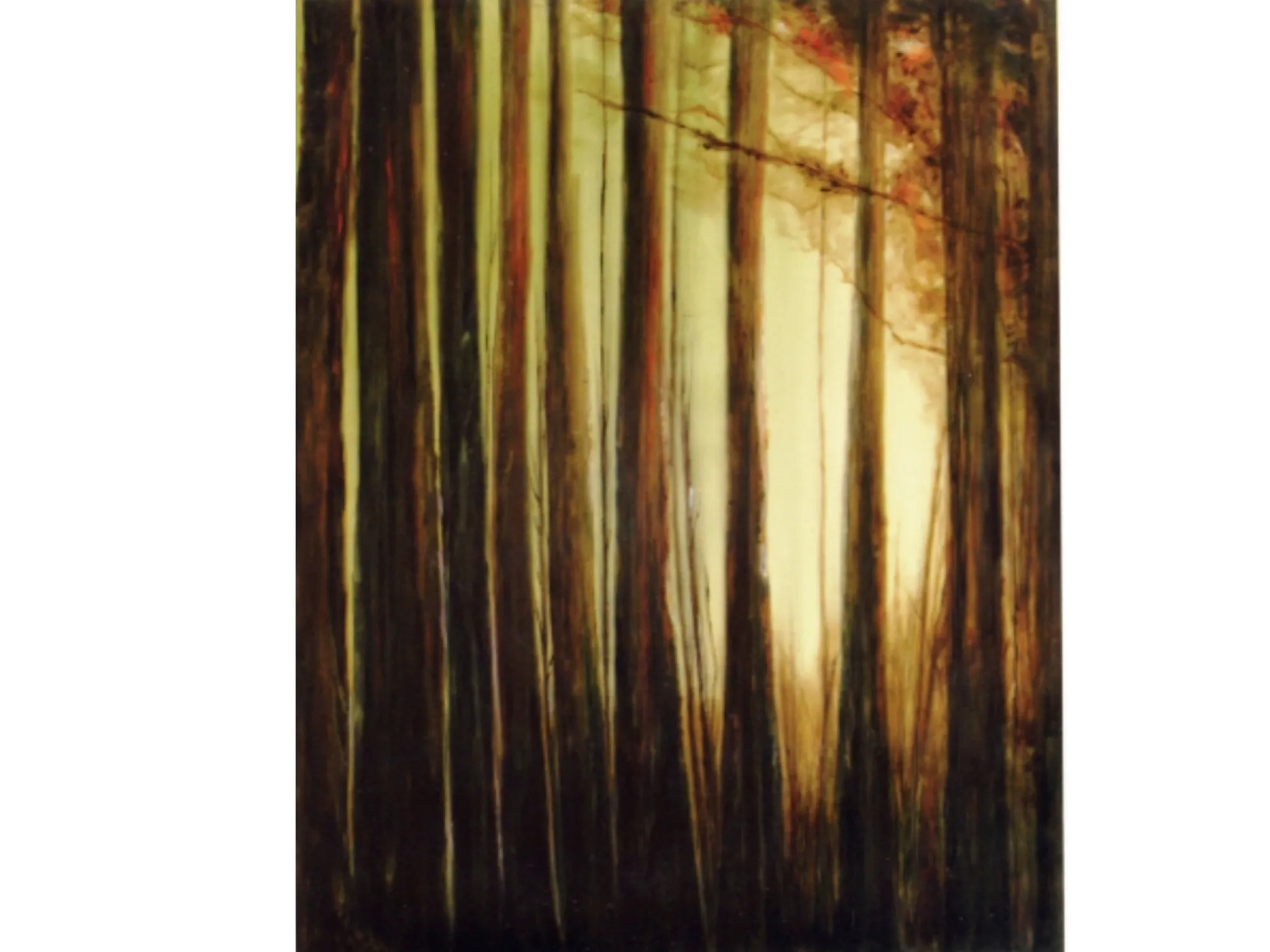 Tyr Forest